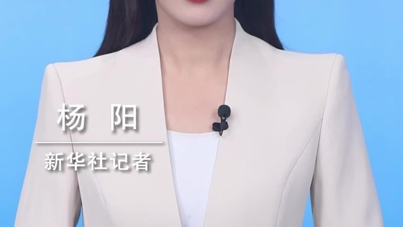 智慧解决方案：揭秘企业IT决策者的选型逻辑
